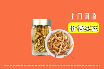 收购资讯:临颍县回收散虫草