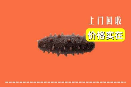 收购资讯:临颍县回收海参