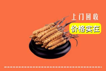临颍县回收冬虫夏草